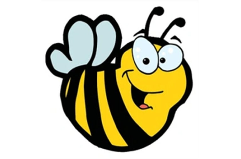 Vector-Path-Service-After